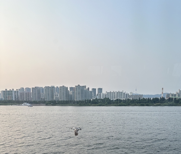 77848_60092_1628.jpg